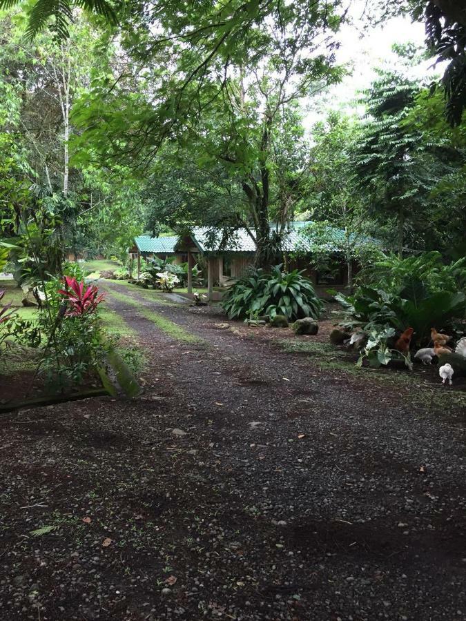 Hotel Rancho Las Cabanas Guápiles Zewnętrze zdjęcie